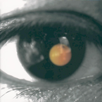 专辑《黑色柳丁》