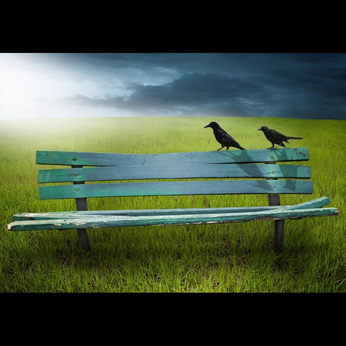 Letter From the Road