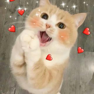 宝藏男孩 谓之太一❤︎