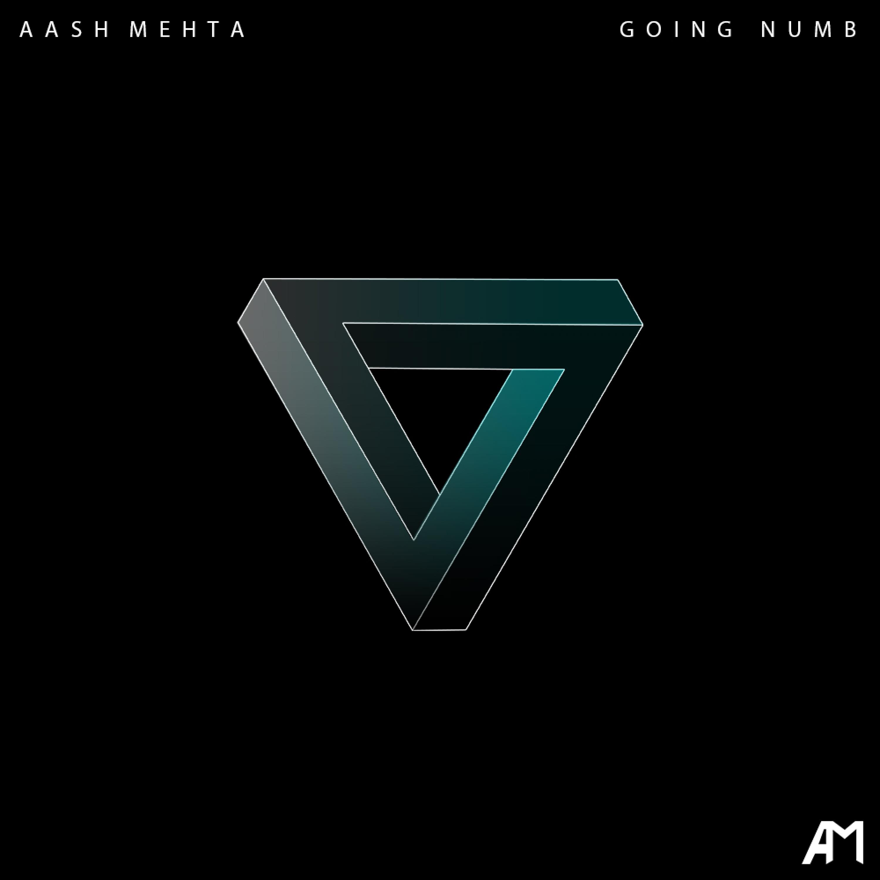 Aash Mehta - Going Numb