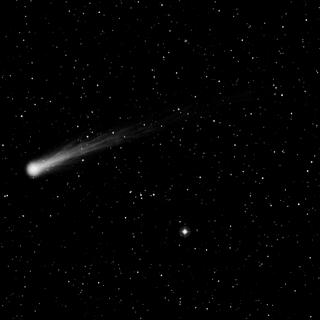 Tropical House | 清新净澈之道