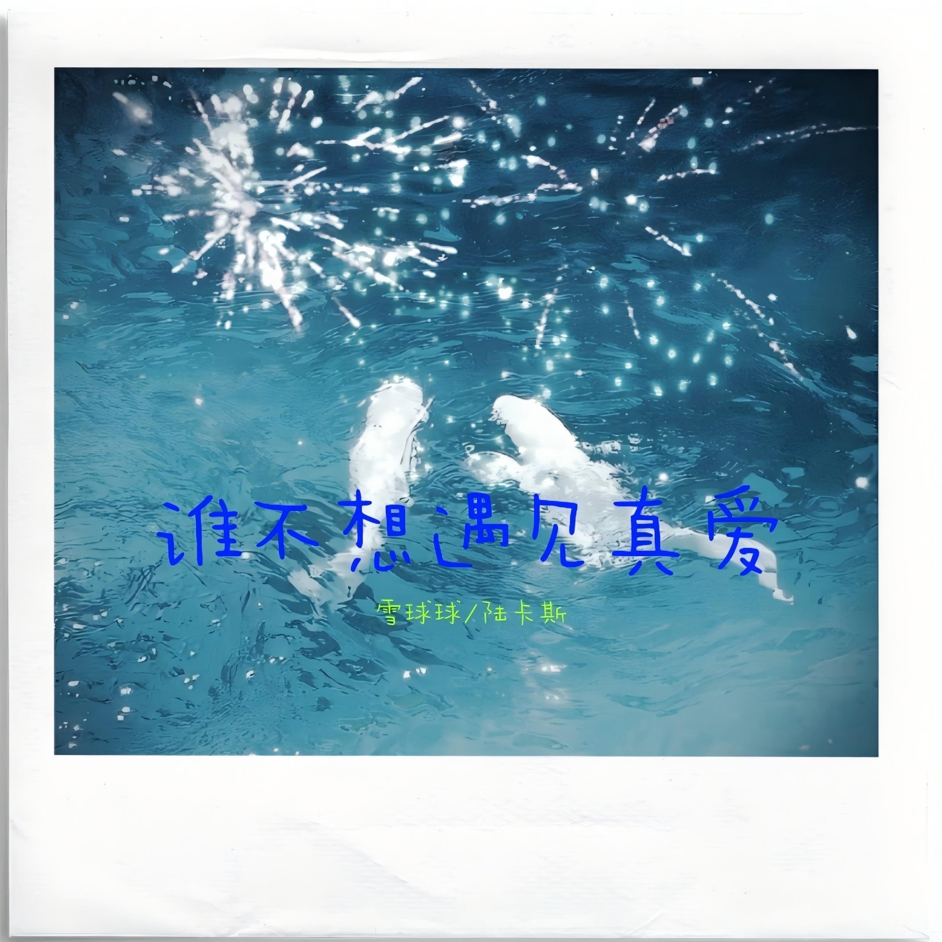 谁不想遇见真爱