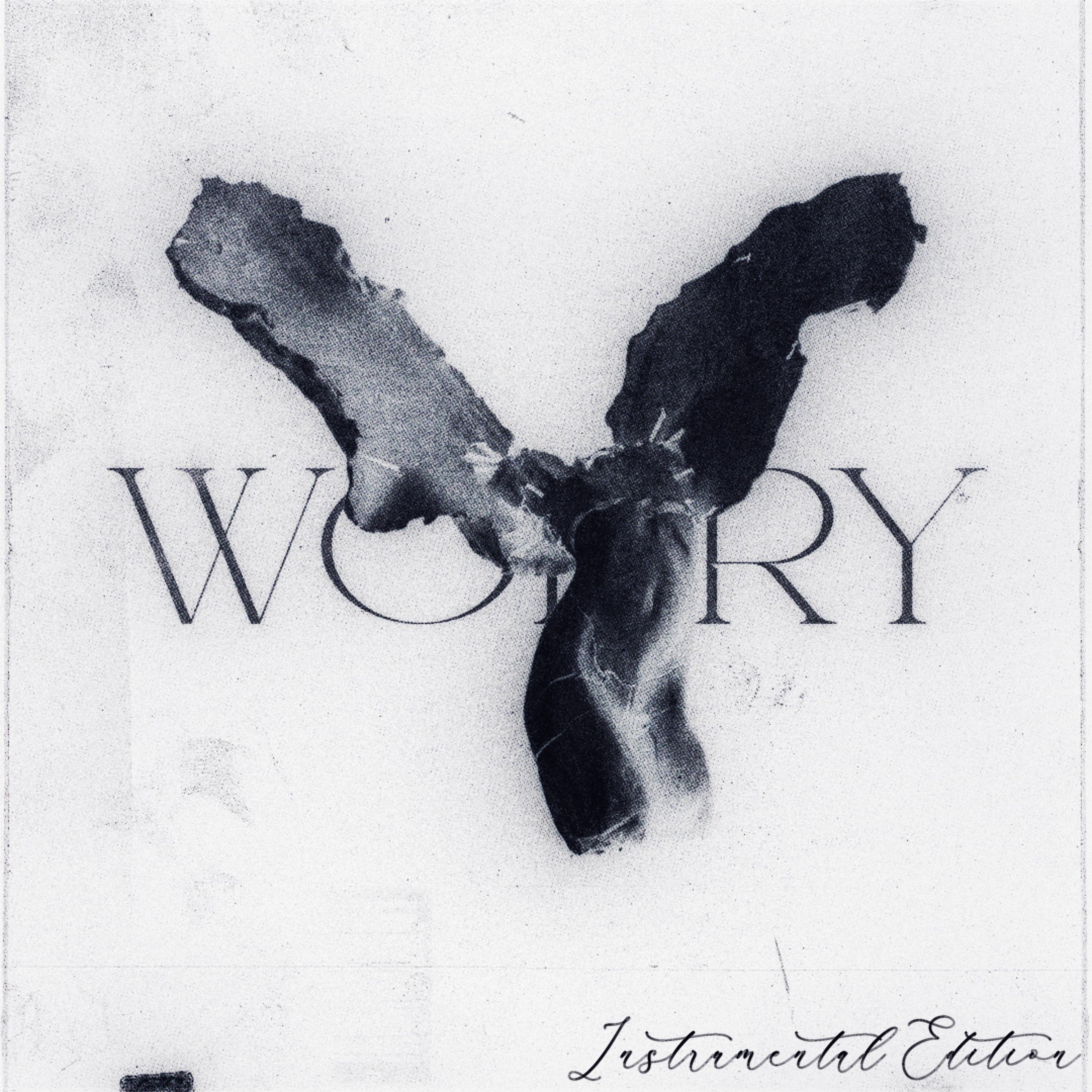 worry (Instrumental edition)