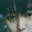 YoungDeviL_