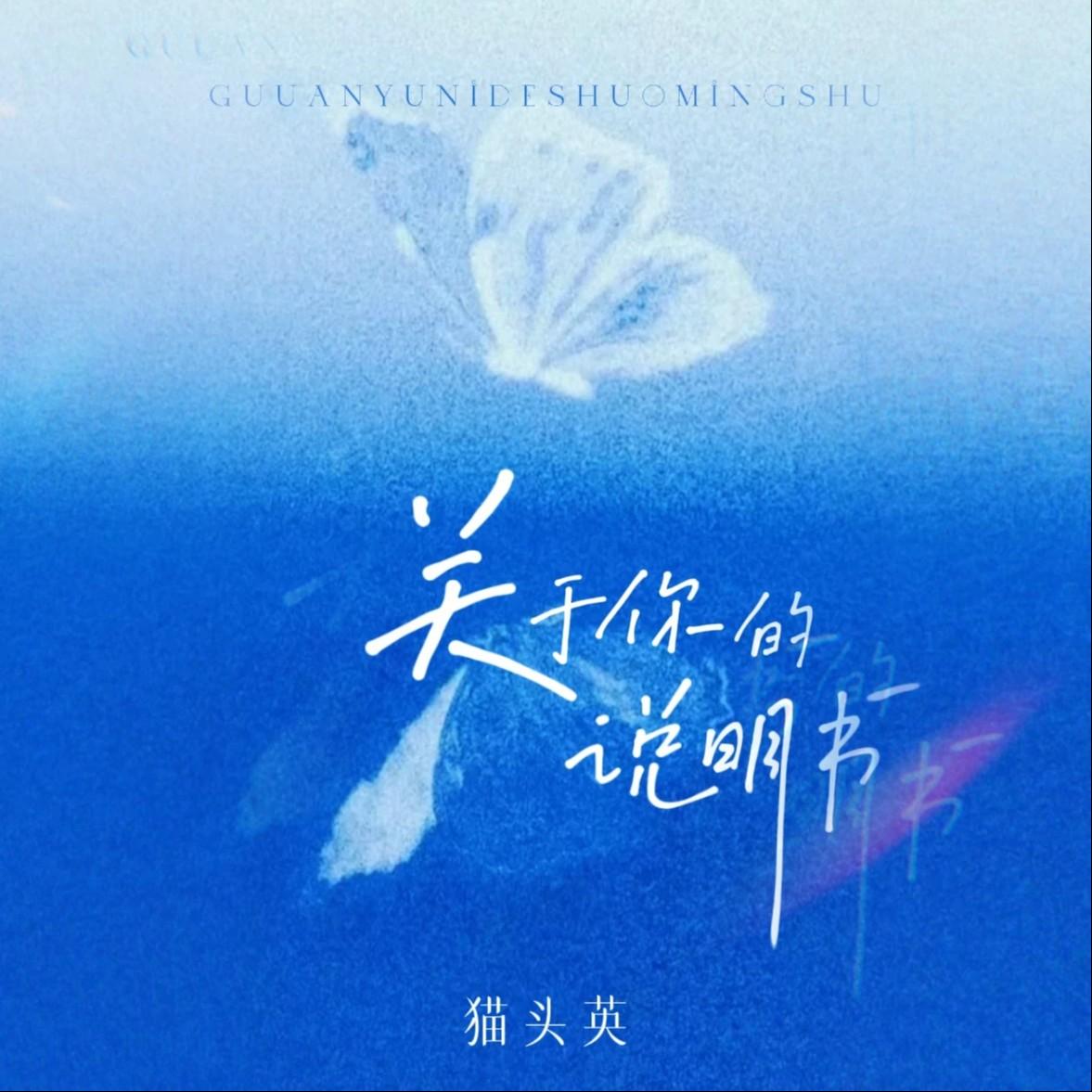 关于你的说明书