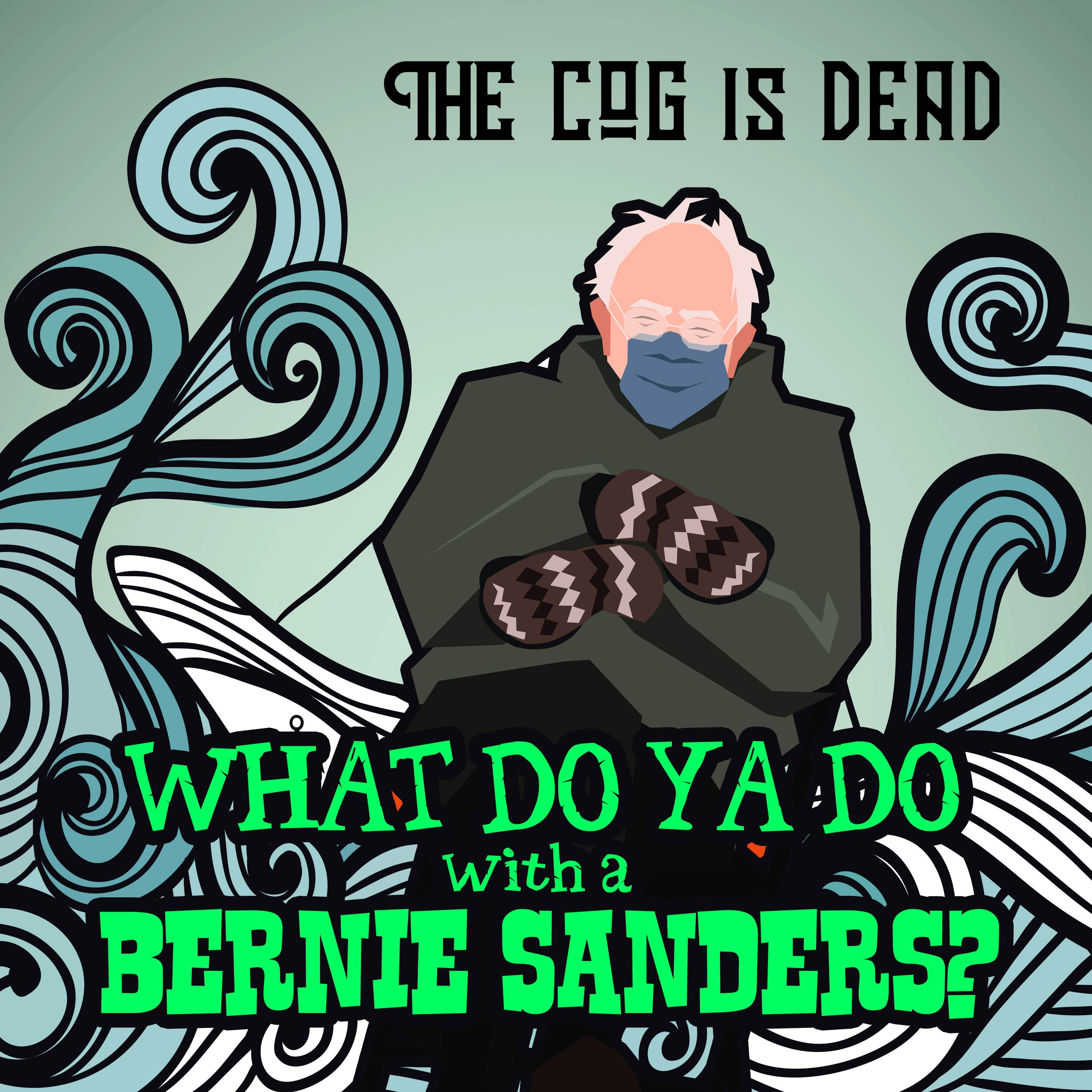 What Do Ya Do With A Bernie Sanders?