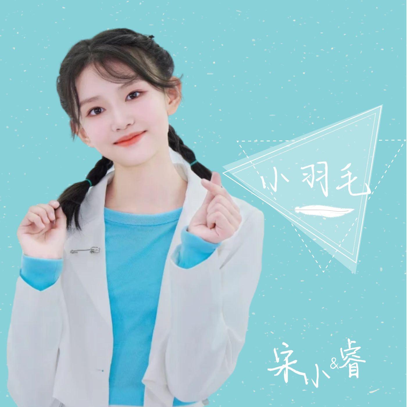 小羽毛