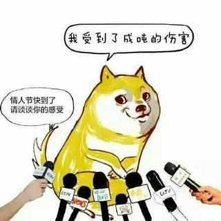 这个七夕，单身狗有话说