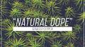 Natural Dope专辑