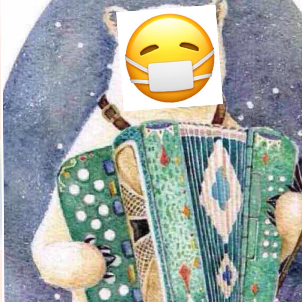 手风琴|古典 爵士  巴扬 自由低音
