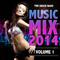 Music Mix 2014, Vol.1专辑