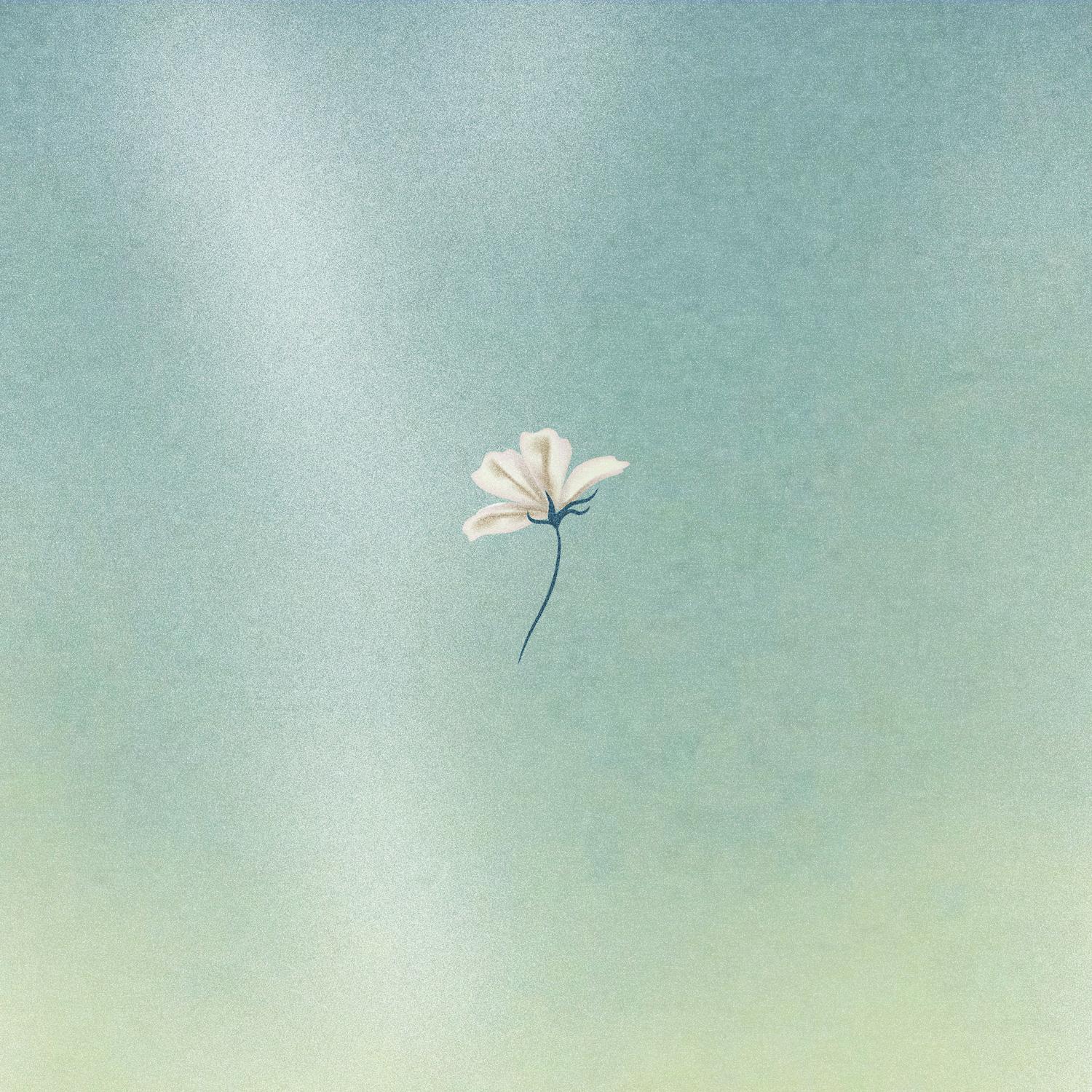 Air