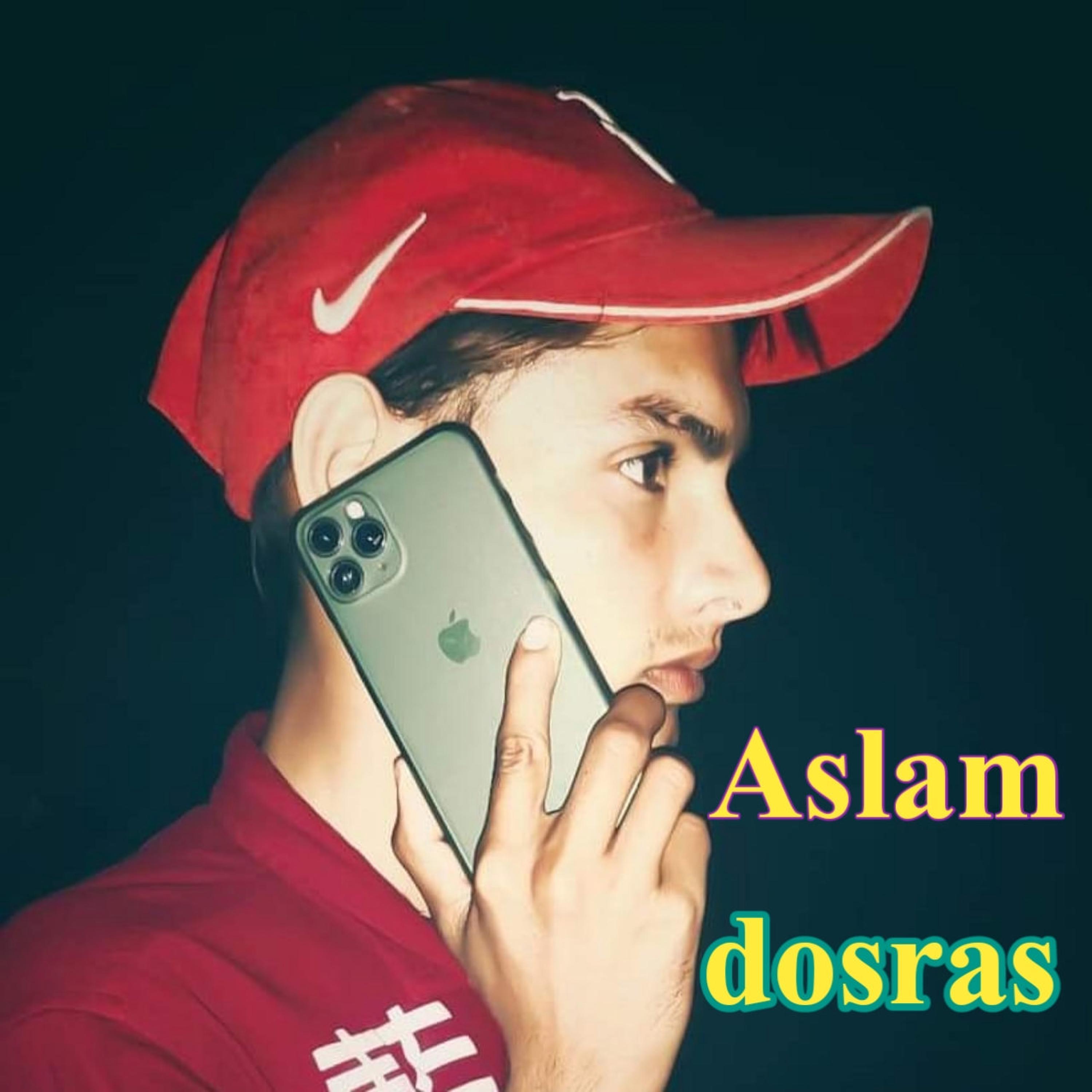 Aslam ayo apachi ler Aslam singer mewati song (feat. aslam)