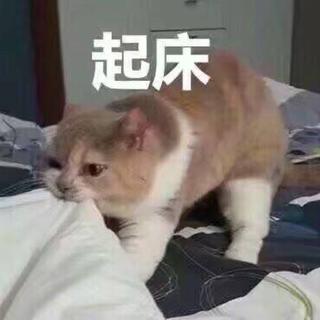 【起床困难症】拯救你每一个昏昏欲睡的清晨