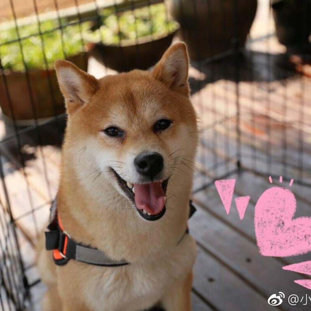 向往的生活1第一季 平凡人生烟火气