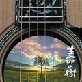 生命の樹～Tree of Life～