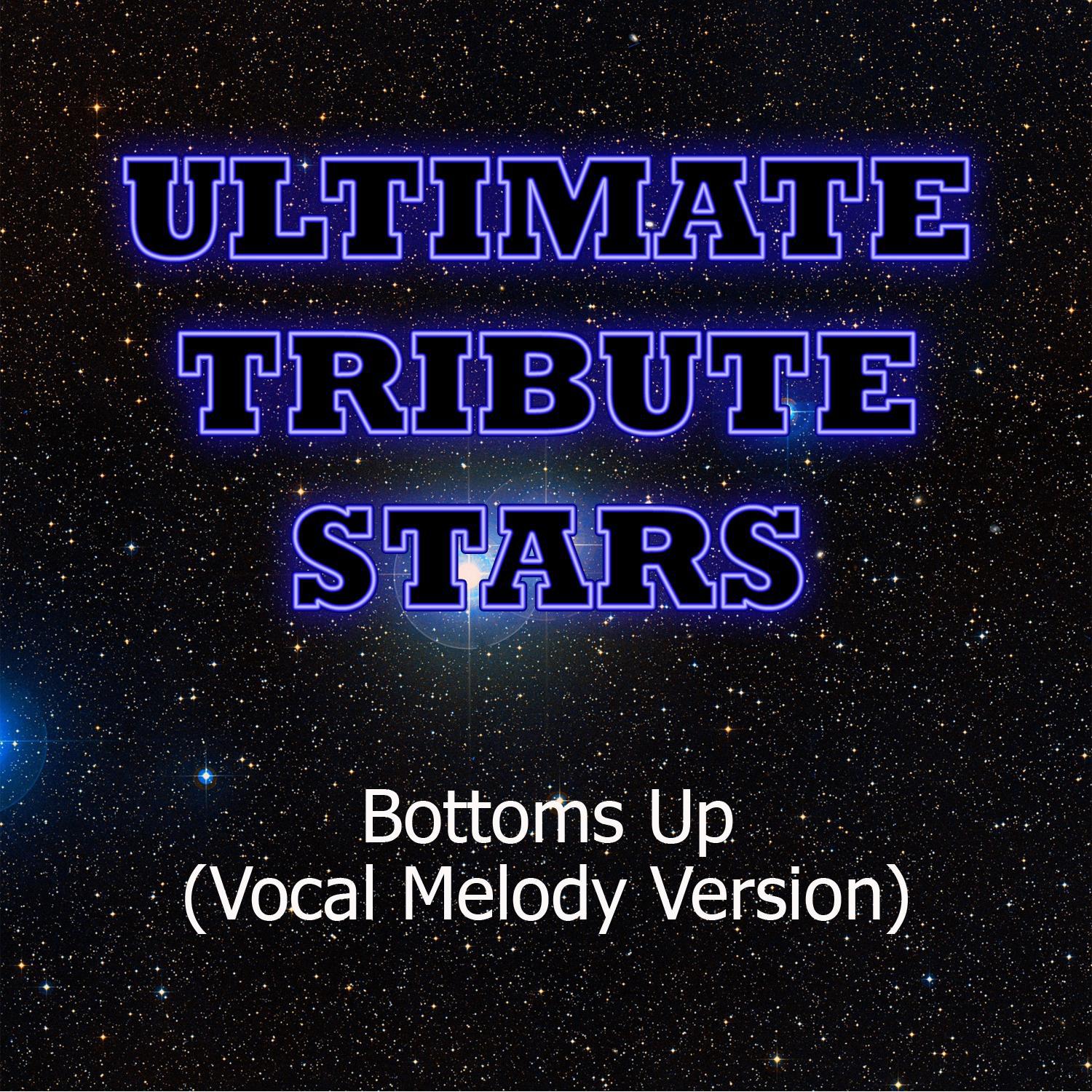 Nickelback - Bottoms Up (Vocal Melody Version)专辑