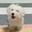 WLU-Sunny