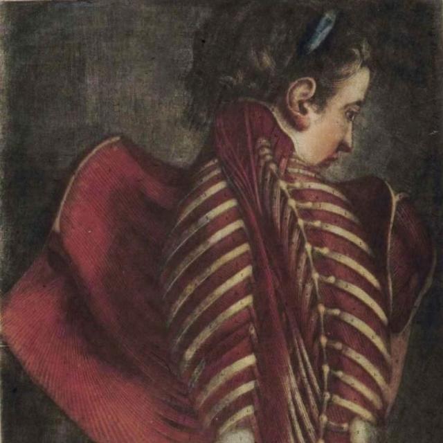 Spine Adagio Part II & The Prince