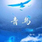 青鸟（火影忍者op中文版）