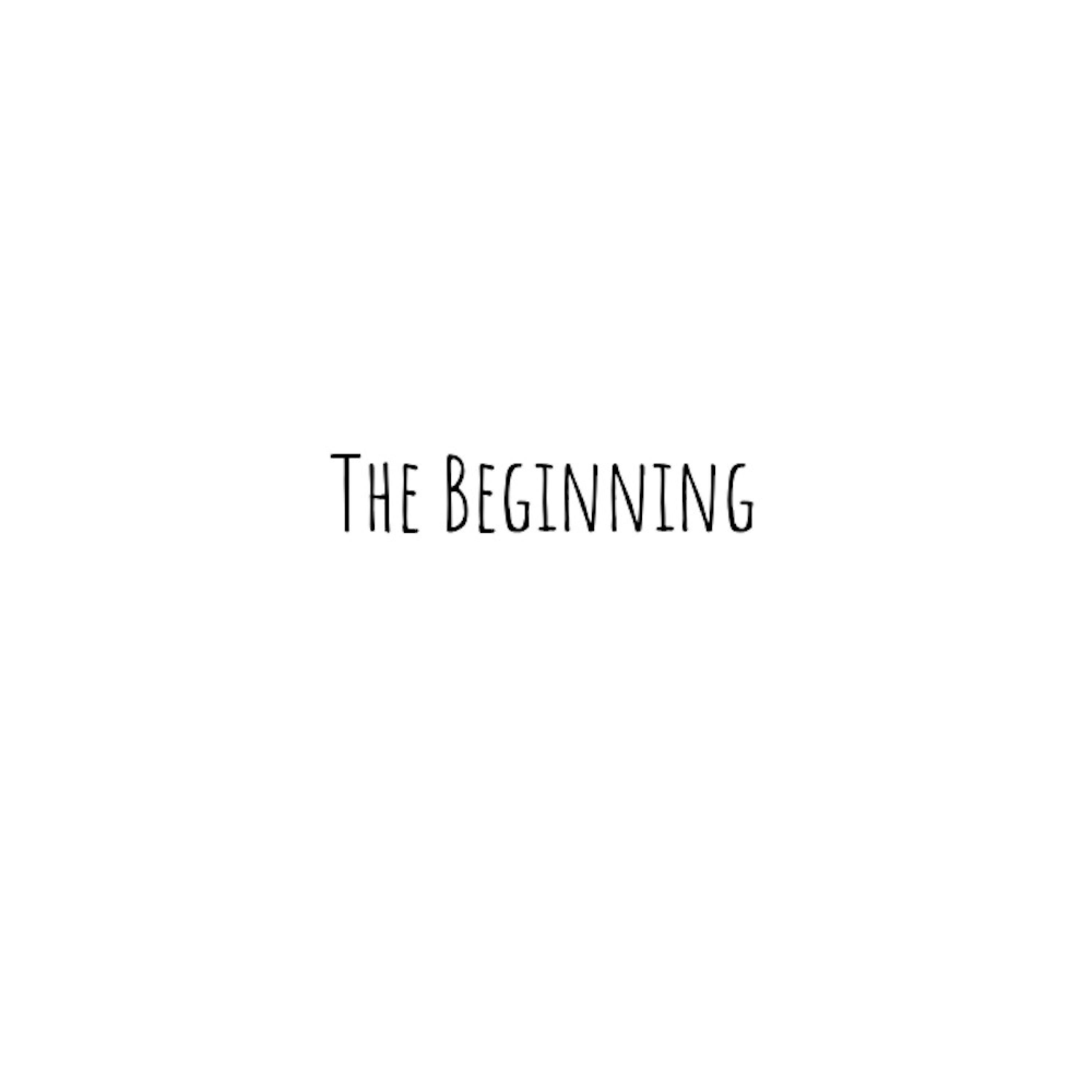 The Beginning