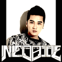 Someone Like You ( Neobie 135 Bootleg )专辑