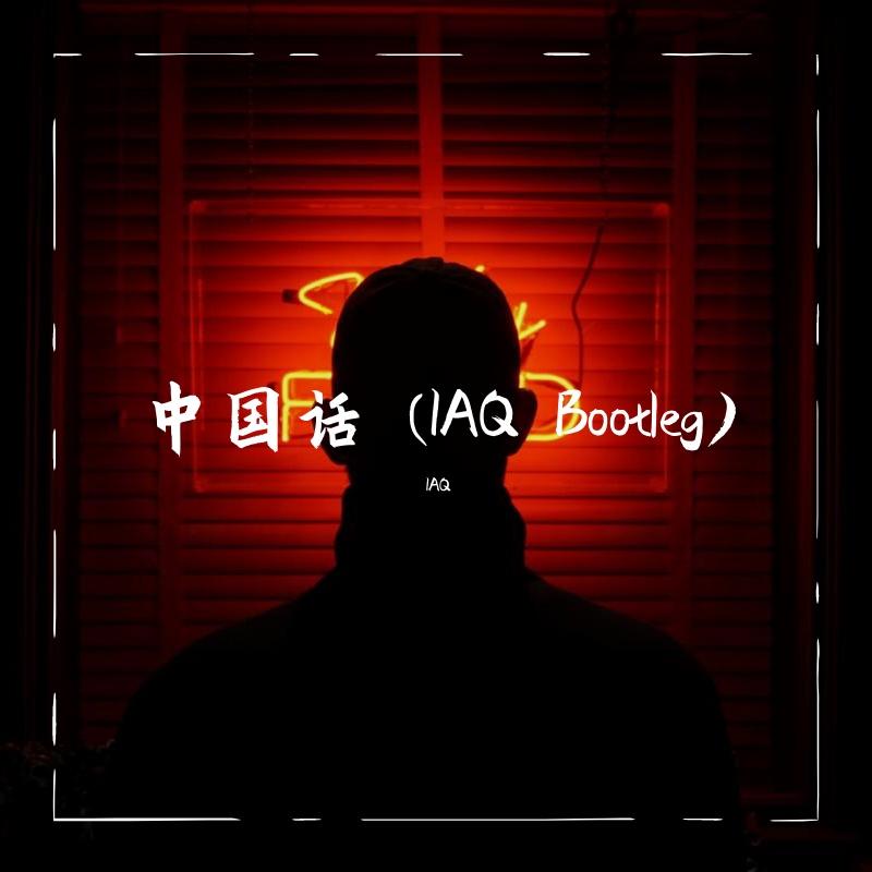Mr.weezy-中国话 (IAQ Bootleg)（IAQ remix）