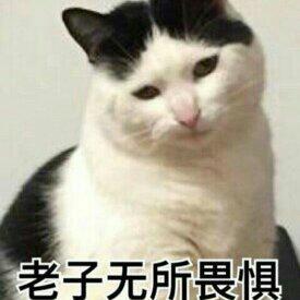 【文科向】熬夜刷作业专用