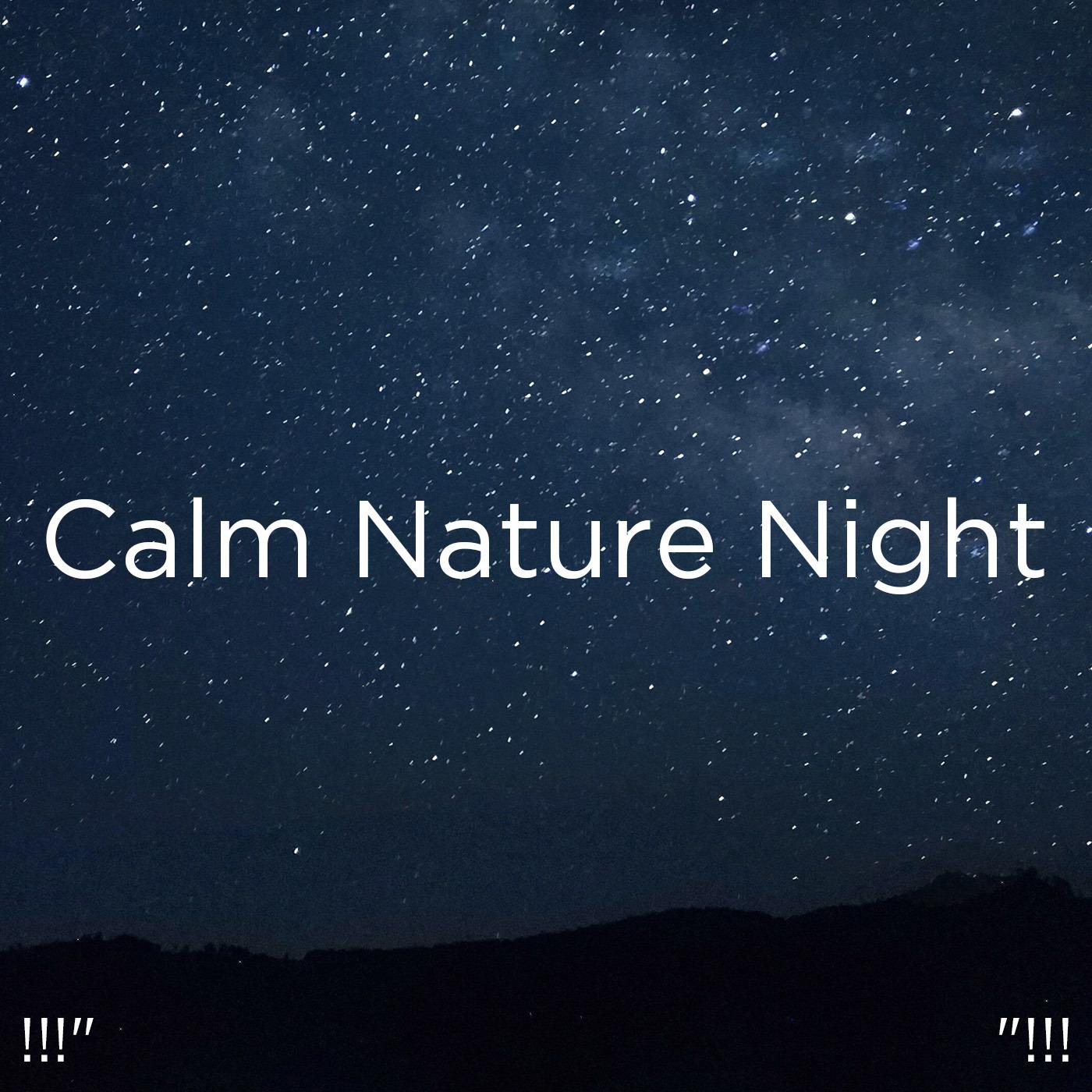 !!!" Calm Nature Night "!!!