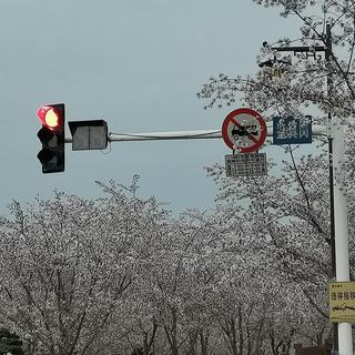 「翻唱精选集」520首好听的翻唱/Cover集✨