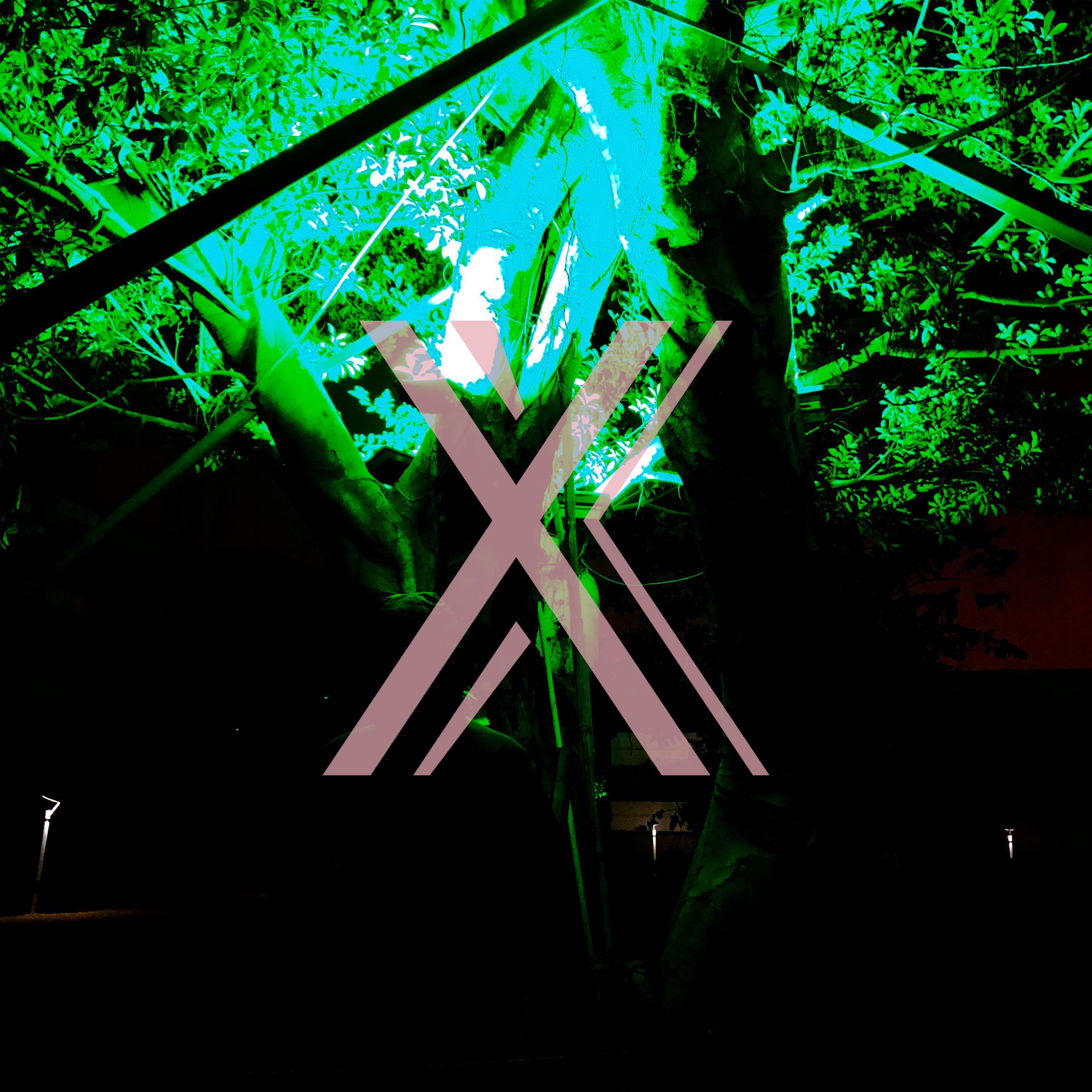X