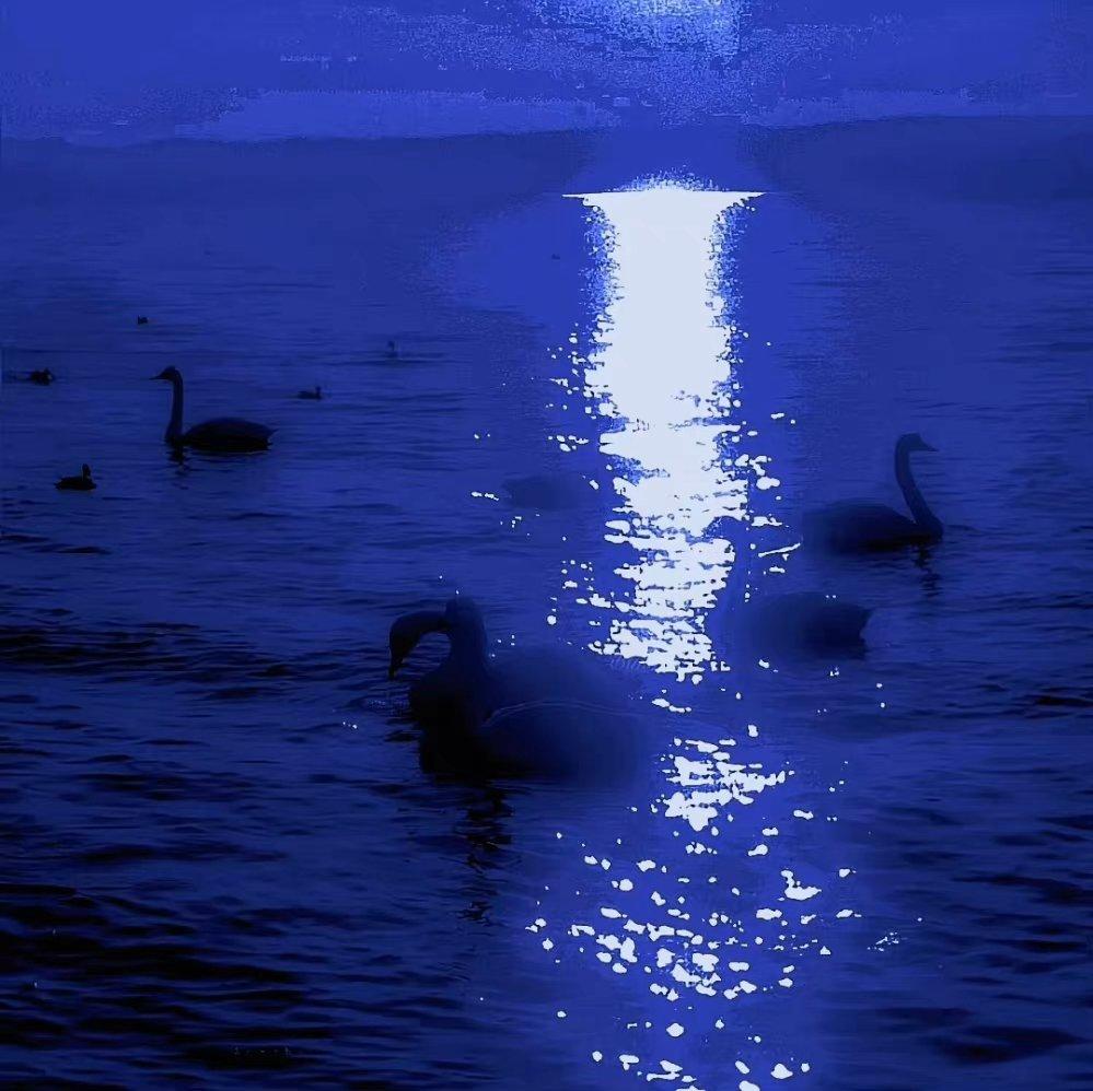遗失暮色——而蓝色的夜落在世上