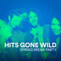 Hits Gone Wild (Spring Break Party)专辑