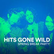 Hits Gone Wild (Spring Break Party)专辑
