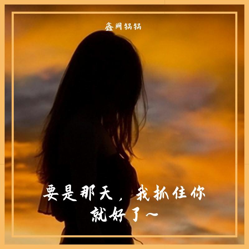 要是那天，我抓住你就好了~专辑