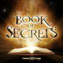 Book Of Secrets专辑