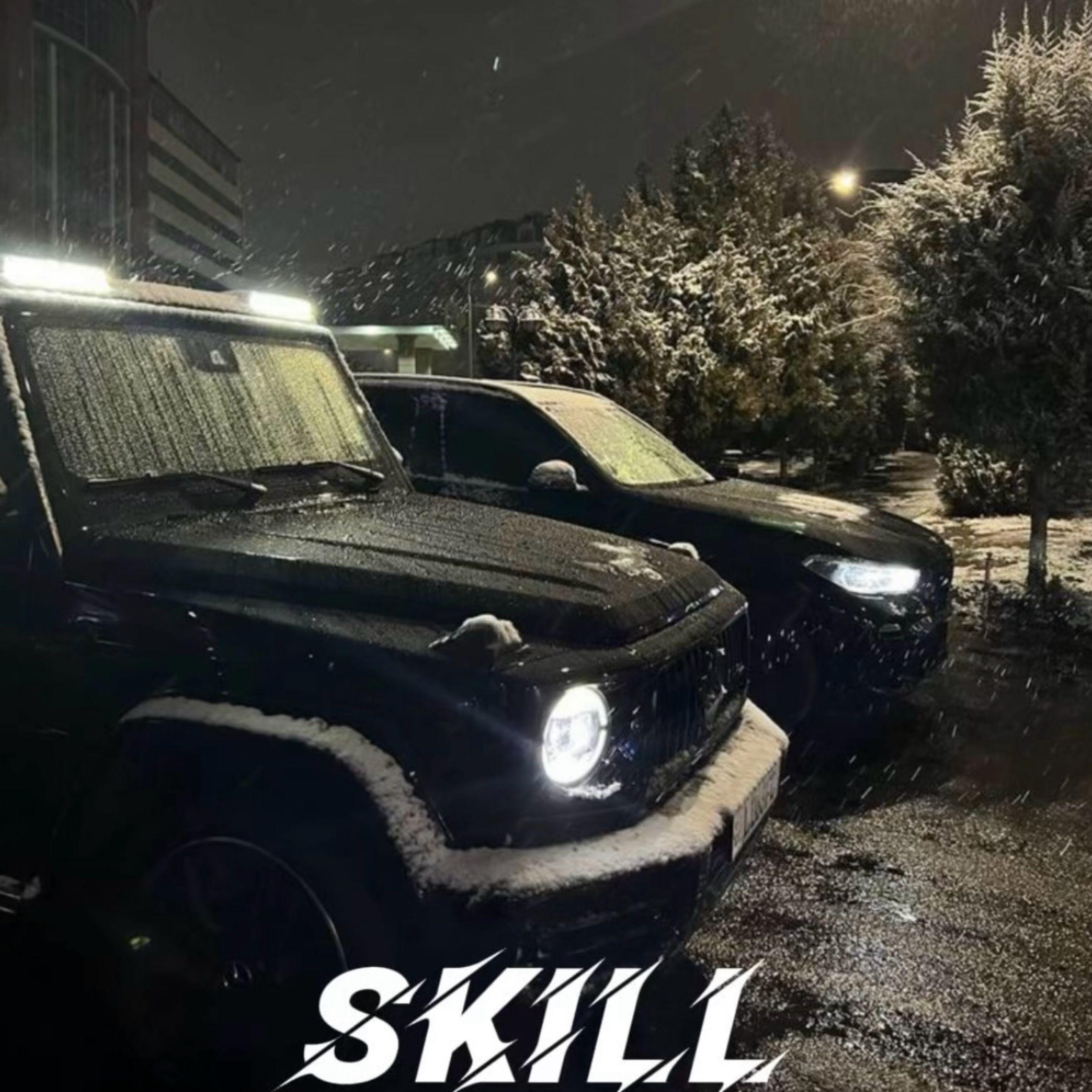 SKILL（我要验牌）