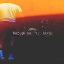 Through the Tall Grass专辑