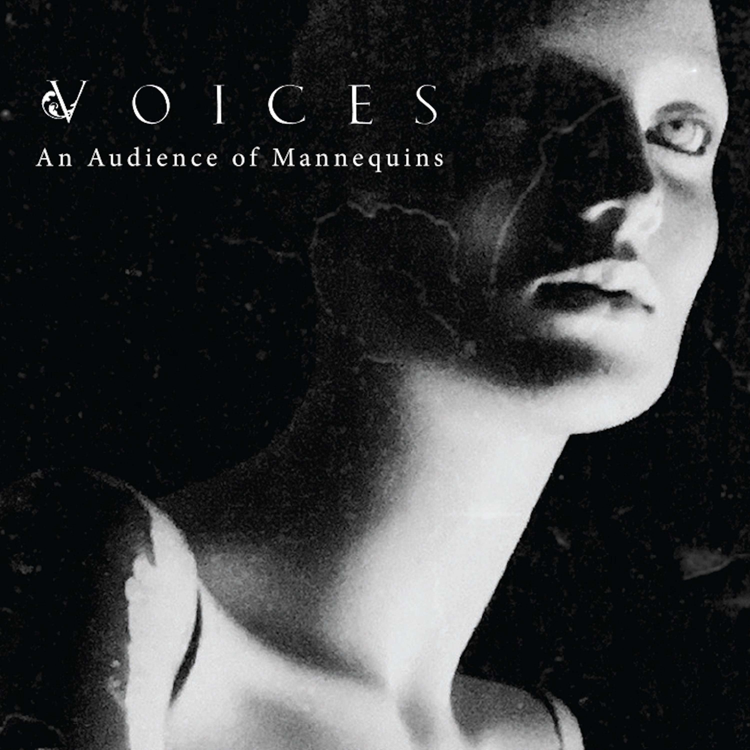 An Audience of Mannequins