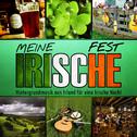 Meine irische Fest. Hintergrundmusik aus Irland für eine irische Nacht专辑