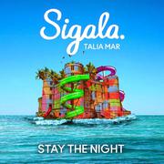 Stay the Night（DJ达苏deep remix）