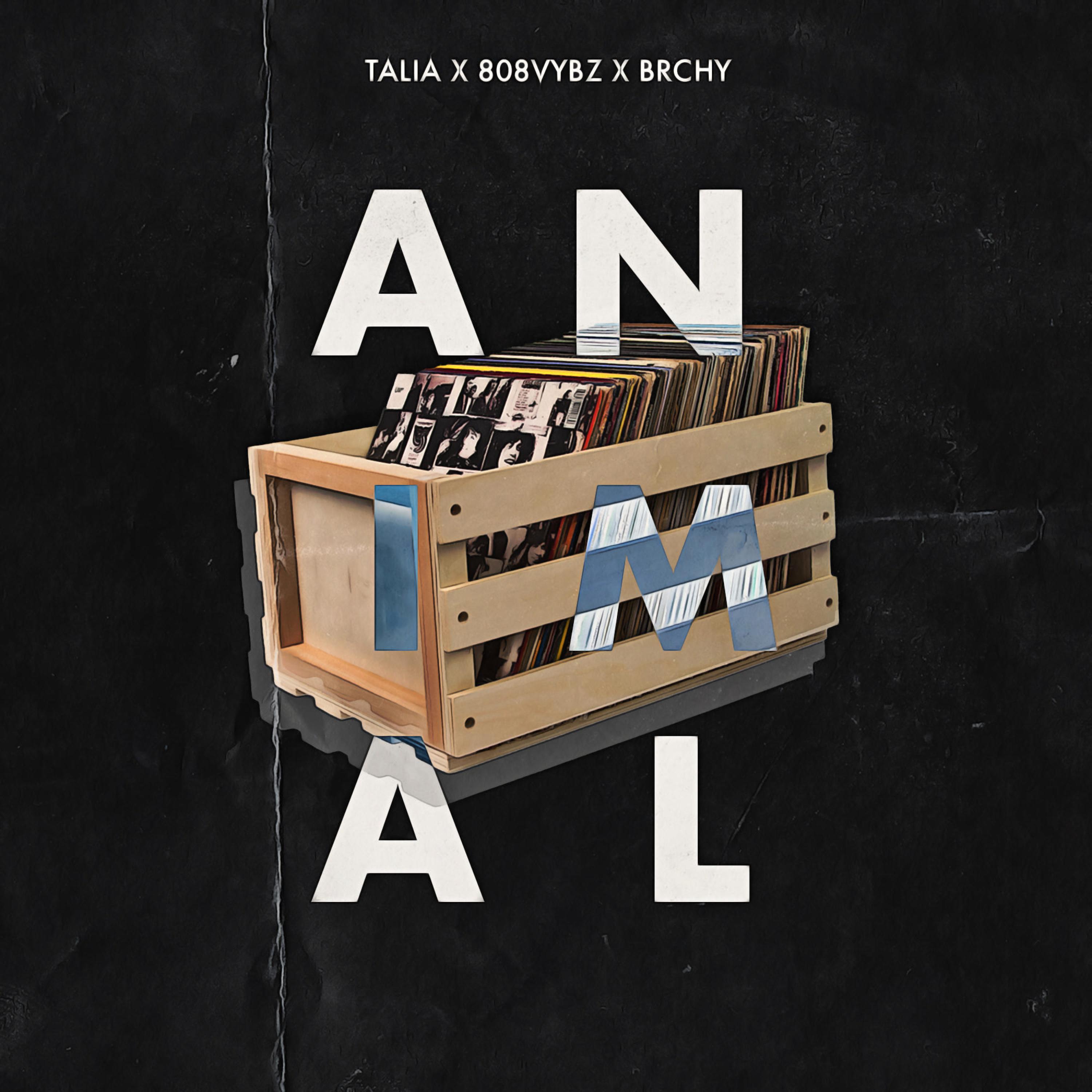 Animal
