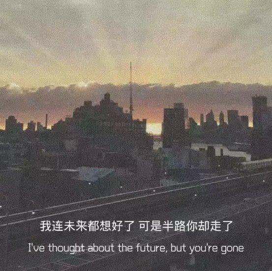 你说不会在爱情里犯错