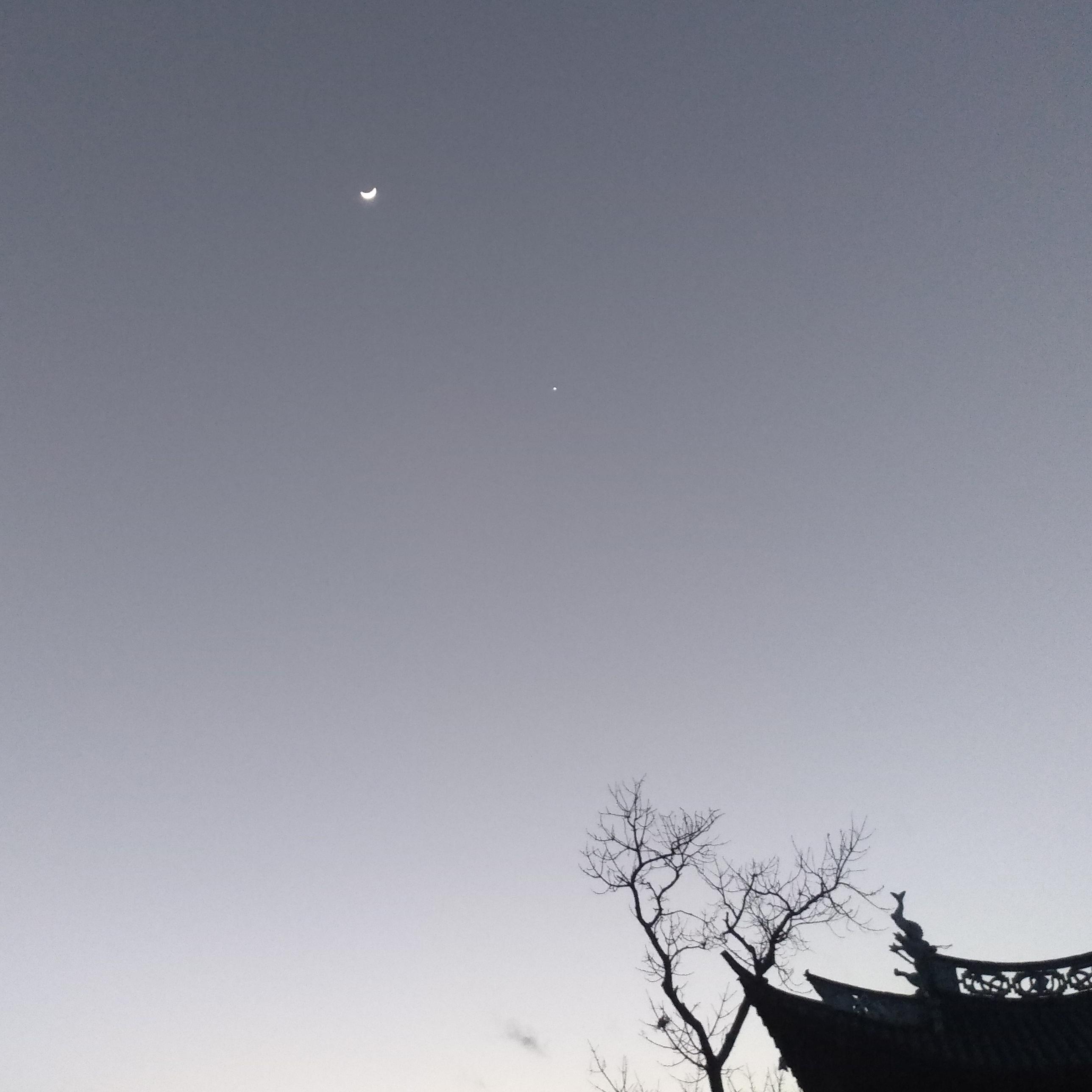 落星沈月专辑