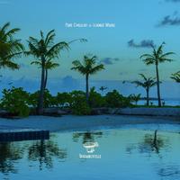 Solanos - Chimichurri