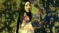 梦一场 罗婉丁 Evangeline专辑