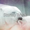 Stormy Break