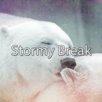 Stormy Break专辑