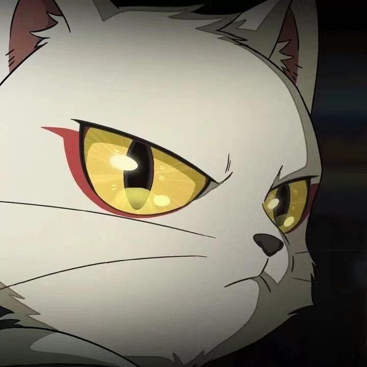 土耳其舞蹈V2（DJ铁柱版）