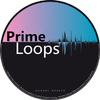 Prime Loops专辑